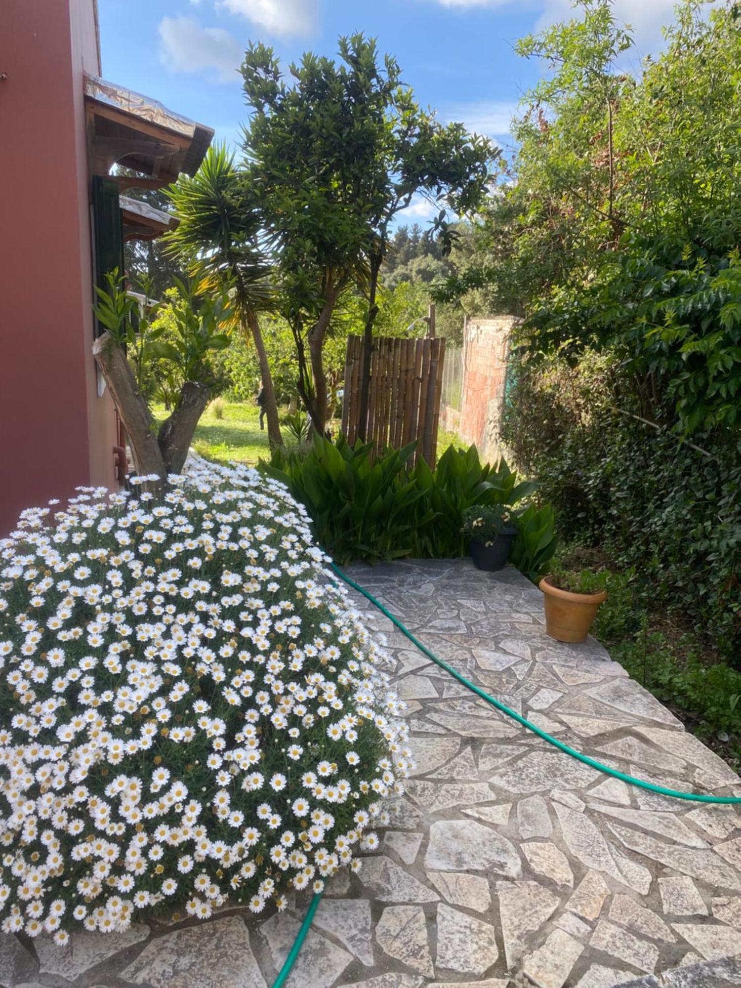 Casa Piccolino Paramonas (Corfu)